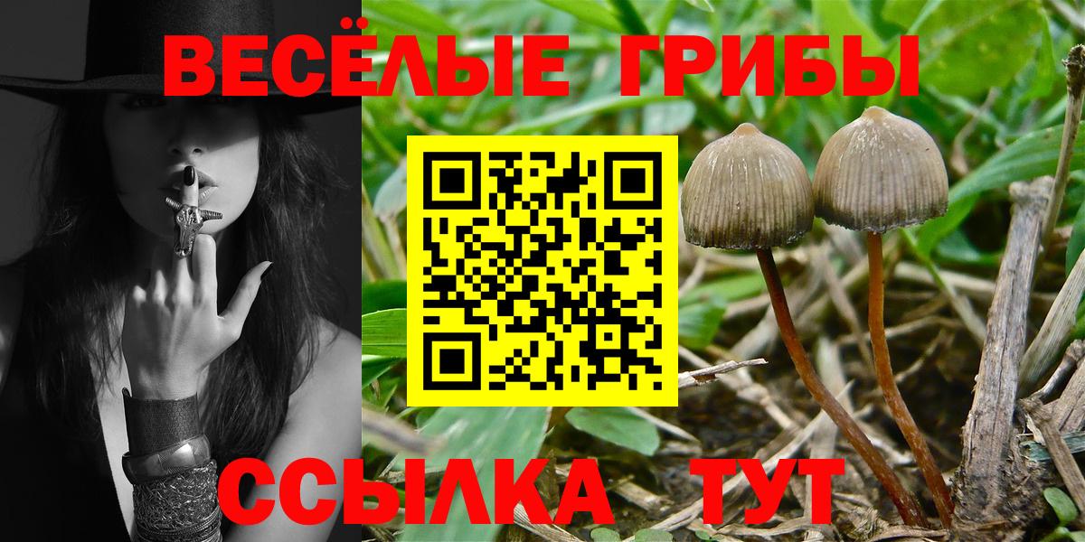Артём  Галлюциногенные грибы Psilocybe  Вход с VPN  Галлюциногенные грибы Magic Shrooms 